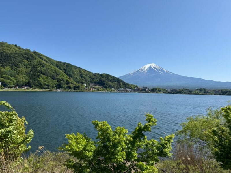 Tokyo: Mt. Fuji, Oshino Hakkai, Kawaguchiko Lake Day Trip - Key Points