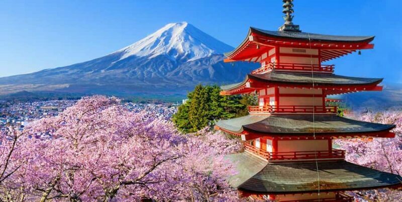 Tokyo: Mt Fuji & Oshino Hakkai & Lake Kawaguchi & Oishi Park - Key Points