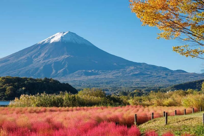 Tokyo: Mt Fuji & Oshino Hakkai & Lake Kawaguchi & Oishi Park - Exploring Mount Fuji in a Day: An Honest Review