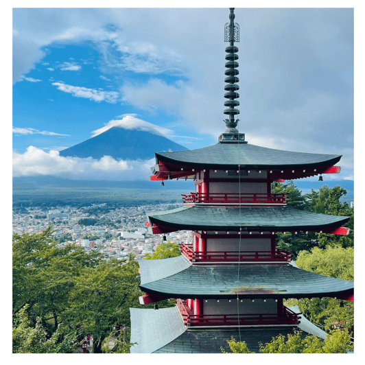 Tokyo: Mt Fuji Prado Private Tour By English-Speaking Driver - Transportation and Accessibility