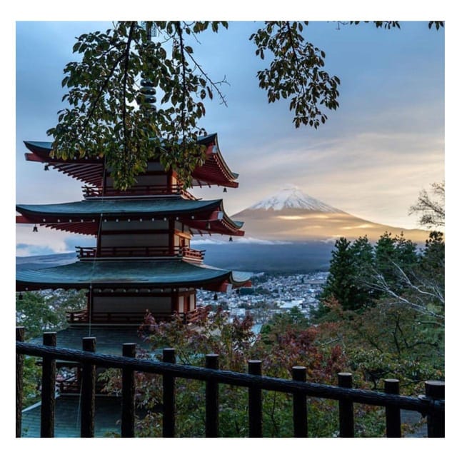 Tokyo: Mt Fuji Prado Private Tour By English-Speaking Driver - Important Guidelines and Recommendations
