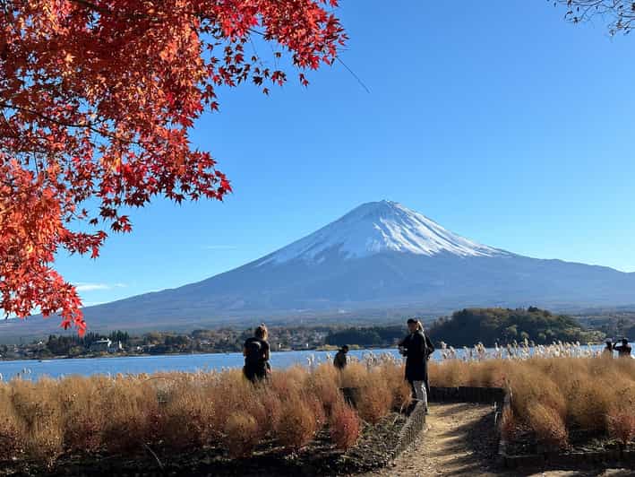 Tokyo: Mt.Fuji Private Day Trip With English Speaking Driver - Transportation and Driver Services