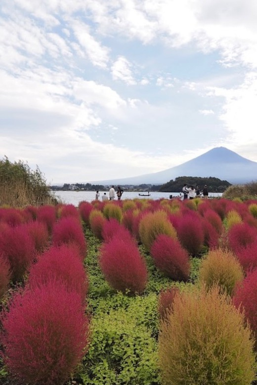 Tokyo: Mt. Fuji Private Day Trip With Hotel Pickup - Serene Oshino Hakkai