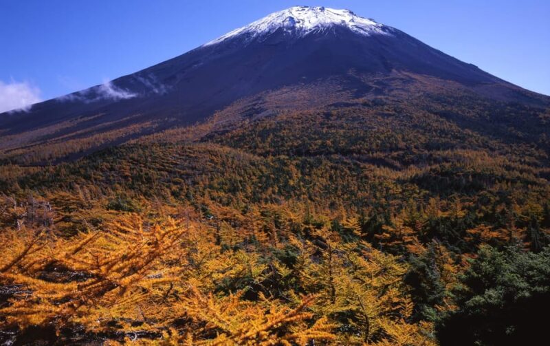 Tokyo: Mt.Fuji Private Sightseeing Tour Eng Speaking Driver - Additional Fees
