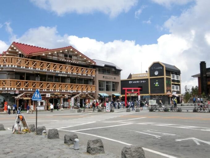 Tokyo: Mt.Fuji Private Sightseeing Tour Eng Speaking Driver - Ferry Ride and Guide Service