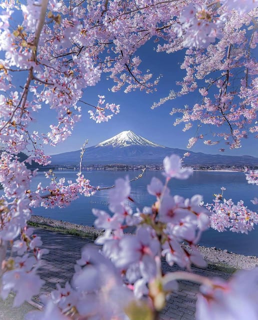 Tokyo: Mt.Fuji Sightseeing Tour With English Speaking Guide - Itinerary Highlights