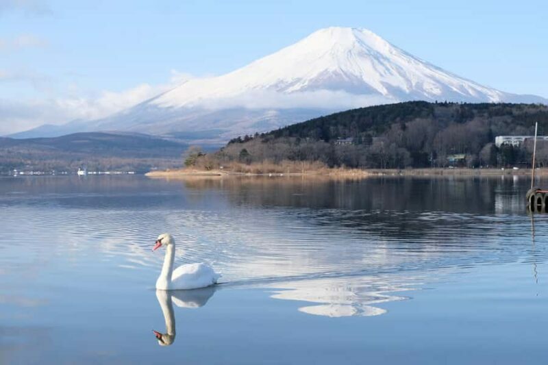 Tokyo: Mt Fuji Signature 6 Scenic Spots Tour & Lake Yamanaka - An In-Depth Look at the Mt. Fuji Scenic Spots Tour