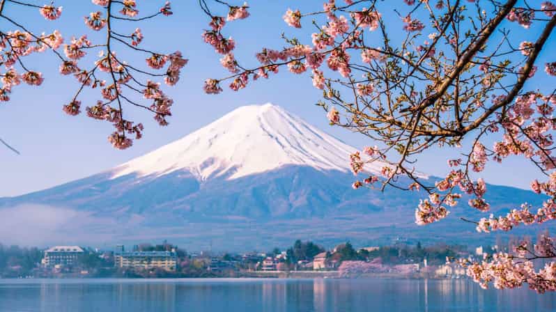 Tokyo: Mt Fuji Trip With Kawaguchiko Ropeway and Matcha Tea - Key Points