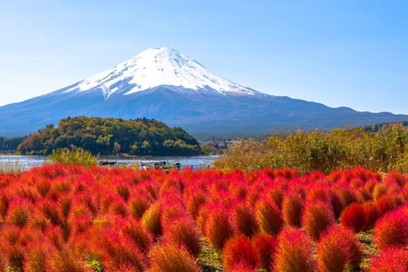Tokyo: Mt Fuji Trip With Kawaguchiko Ropeway and Matcha Tea - Starting Locations