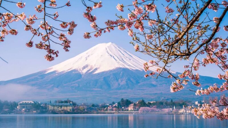 Tokyo: Mt Fuji Trip With Kawaguchiko Ropeway and Matcha Tea - Visit to Oshino Hakkai
