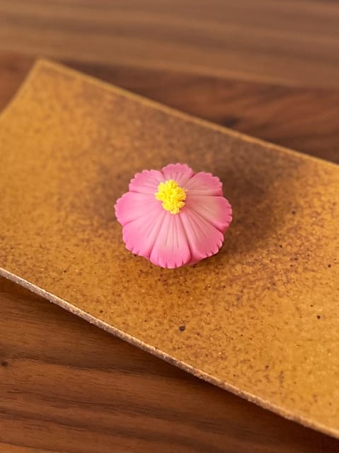 Tokyo: Mt. Fuji Wagashi and Tea Tasting Tour in Japanese Garden - Engaging in the Tea Ceremony