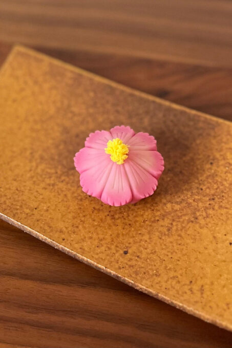 Tokyo: Mt. Fuji Wagashi & Tea Trial Tour in Japanese Garden - Whats Included
