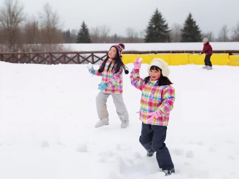 Tokyo: Mt Fujiyama Snow Resort and Onzen Day Trip W/Pickup - Included Services