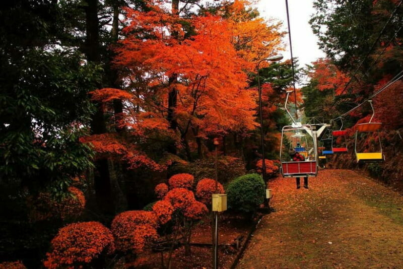 Tokyo: Mt Takao Tour with Ramen and Tattoo-Okay Hot Spring - An In-Depth Look at the Mount Takao Tour