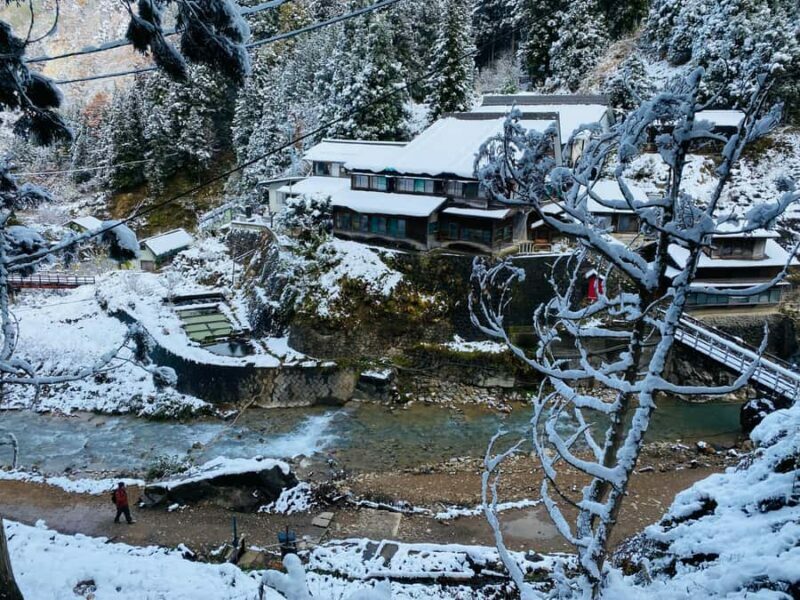 Tokyo/Nagano: private Tour with Snow Monkey Park & Temples - Discover Japan’s Hidden Gem: A Private Day Tour from Tokyo to Nagano