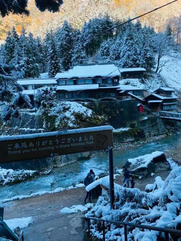 Tokyo/Nagano: private Tour with Snow Monkey Park & Temples - The Practical Side: How It Works