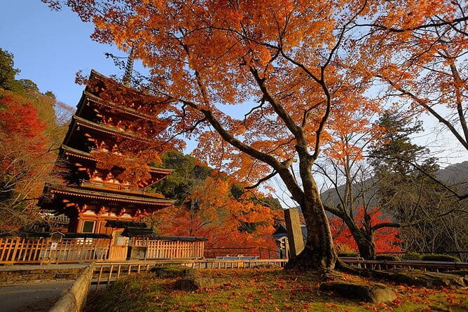 Tokyo Nagano Snow Monkey Park and Zenkoji Temple With Guide - Accessibility and Participation
