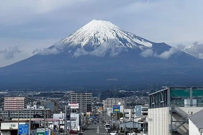Tokyo Nagano Snow Monkey Park and Zenkoji Temple With Guide - Reviews and Ratings