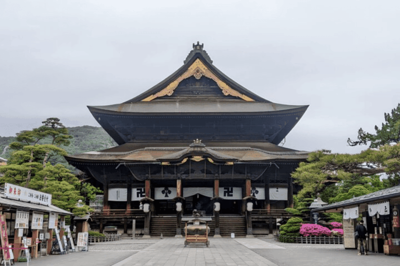 Tokyo Nagano Snow Monkey Park and Zenkoji Temple With Guide - Highlights of the Itinerary