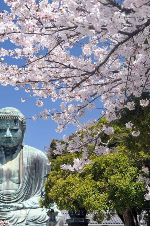 Tokyo Nagano Snow Monkey Park and Zenkoji Temple With Guide - Optional Sightseeing Stops