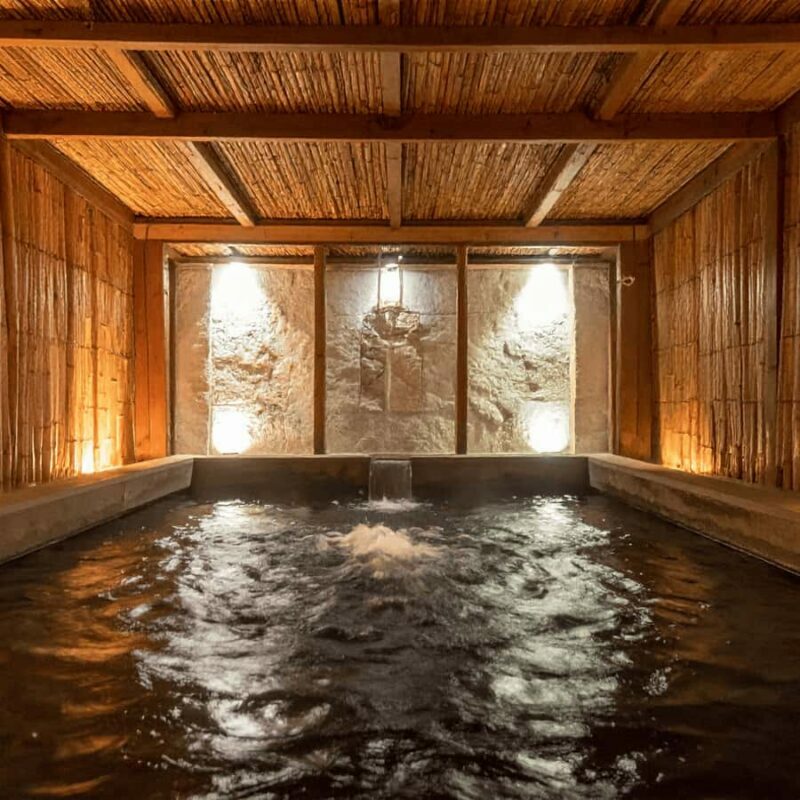 Tokyo / Nagano: Snow Monkeys Private Tour Hotel Pick & Drop - Who Will Love This Tour?