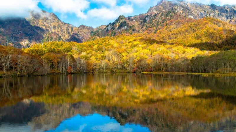 Tokyo: Nagano Tour With Snow Monkey Park & Zenko-Ji Temple - Transportation and Accessibility