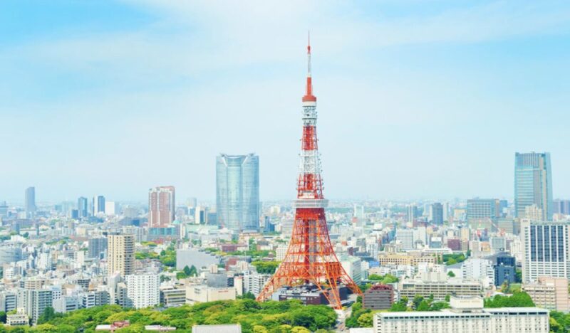 Tokyo Narita Airport: 1-Way Private Transfer To/From Tokyo - Inclusions and Exclusions