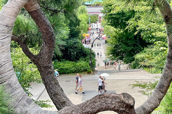 Tokyo National Museum and Ueno Ukiyo-e History Guided Tour - Accessibility and Participation