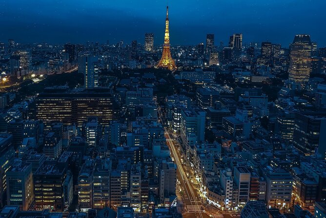Tokyo Night Tour: A Unique Experience - Itinerary and Flexibility