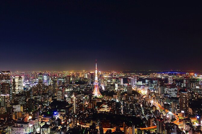Tokyo Night Tour: A Unique Experience - Private Transportation Advantages