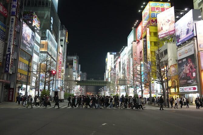 Tokyo Night Tour Akihabara, Shibuya, Karaoke and City Lights - Indulging in Karaoke Bliss