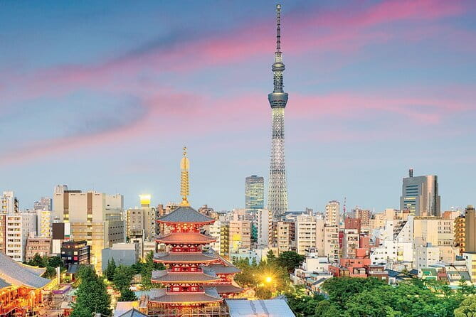 Tokyo Night Tour Customizable - Included Amenities