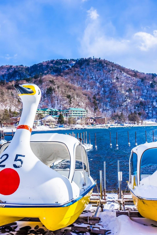 Tokyo: Nikko City Day Trip By Private Car or Van - Discovering the Kegon Waterfall