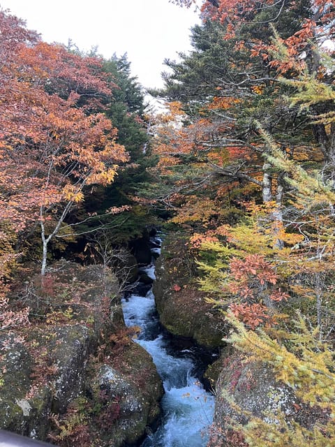 Tokyo: Nikko Day Tour With Private Vehicle and Guide - Itinerary Highlights