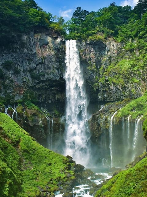 Tokyo Nikko: Group Bus Tour - Highlights of the Tour