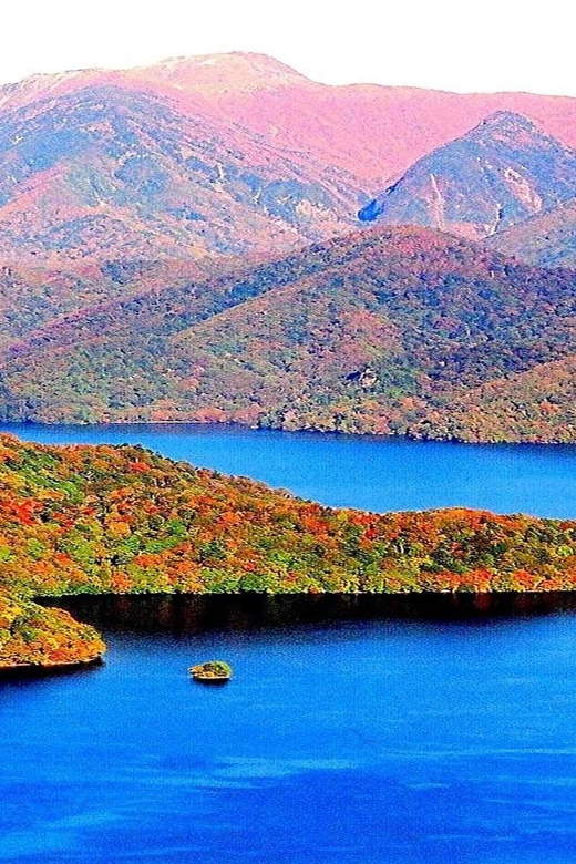 Tokyo Nikko: Group Bus Tour - Guided Tour Experiences