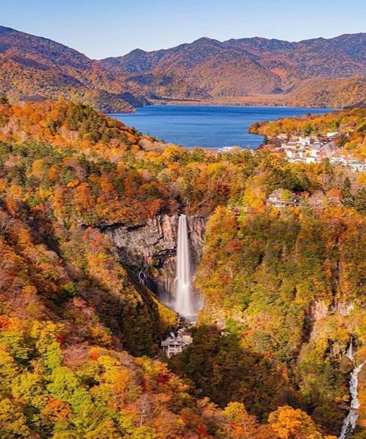Tokyo Nikko: Group Bus Tour - Frequently Asked Questions