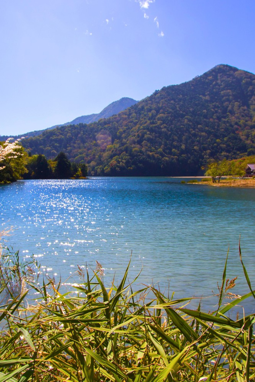 Tokyo: Nikko Highlights Tour With Temples, Waterfalls & Lake - Explore the Historic Rinnoji Temple