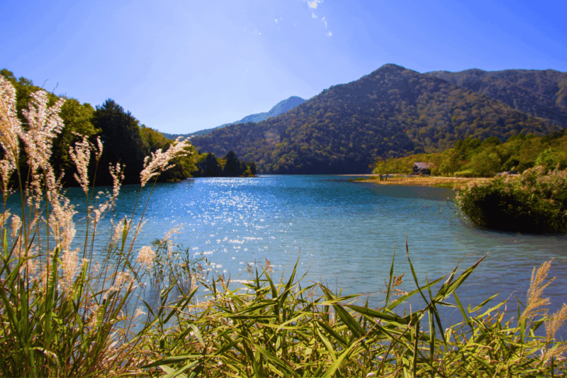 Tokyo: Nikko Highlights Tour With Temples, Waterfalls & Lake - Marvel at the Iconic Shinkyo Bridge