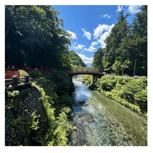 Tokyo: Nikko Kegon Falls Lake Chuzenji Toshogu Temple & More - The Transportation: Comfort and Style
