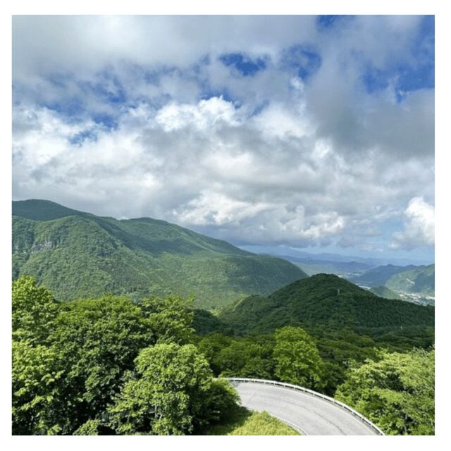 Tokyo: Nikko Kegon Falls Lake Chuzenji Toshogu Temple & More - Natural and Cultural Highlights