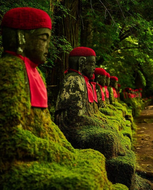 Tokyo: Nikko National Park Private Day Trip With Driver - Experience and Accessibility