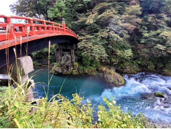 Tokyo: Nikko National Park Private Day Trip With Driver - Departure and Return Details