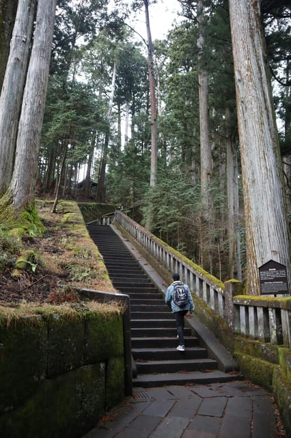 Tokyo: Nikko Private Car Trip With English-Speaking Driver - Key Attractions