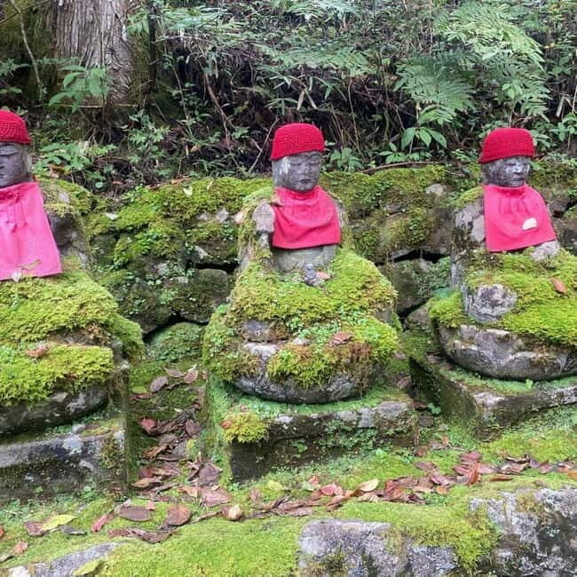 Tokyo: Nikko Private Day Tour Fully Customizeable Low Price - The Value Proposition