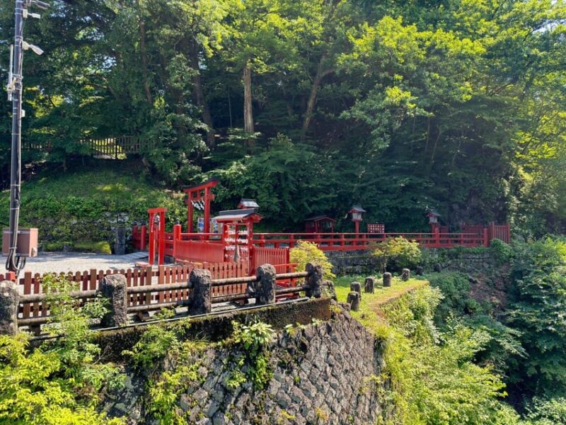 Tokyo: Nikko Private Day Tour - Important Information