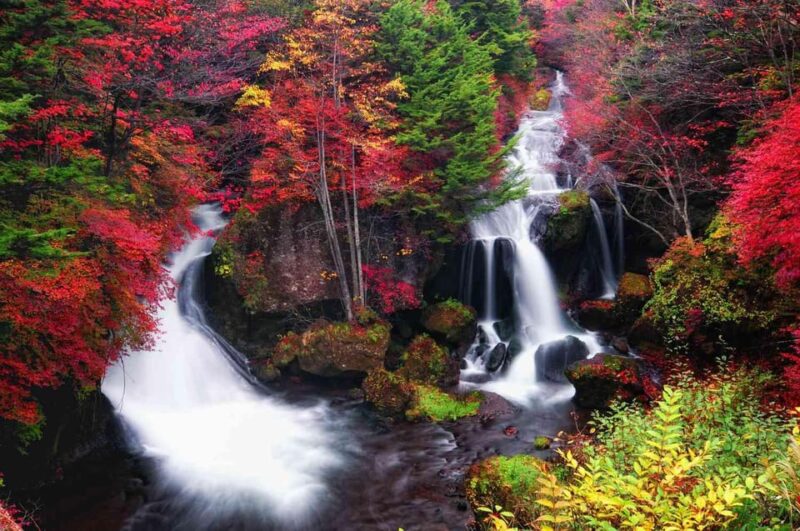 Tokyo: Nikko Private Day Tour With English Speaking Driver - Key Points