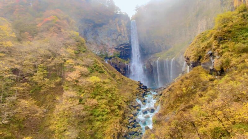Tokyo: Nikko Private Day Trip With English Speaking Guide - Customization and Experience