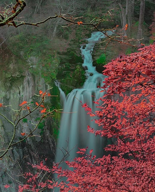 Tokyo: Nikko Private Day Trip With Toshogu Shrine Visit - Transportation and Logistics