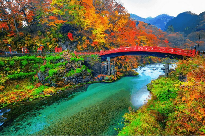 Tokyo: Nikko Private Sightseeing Day Trip with Driver - Authentic Experiences, Guided by Knowledge